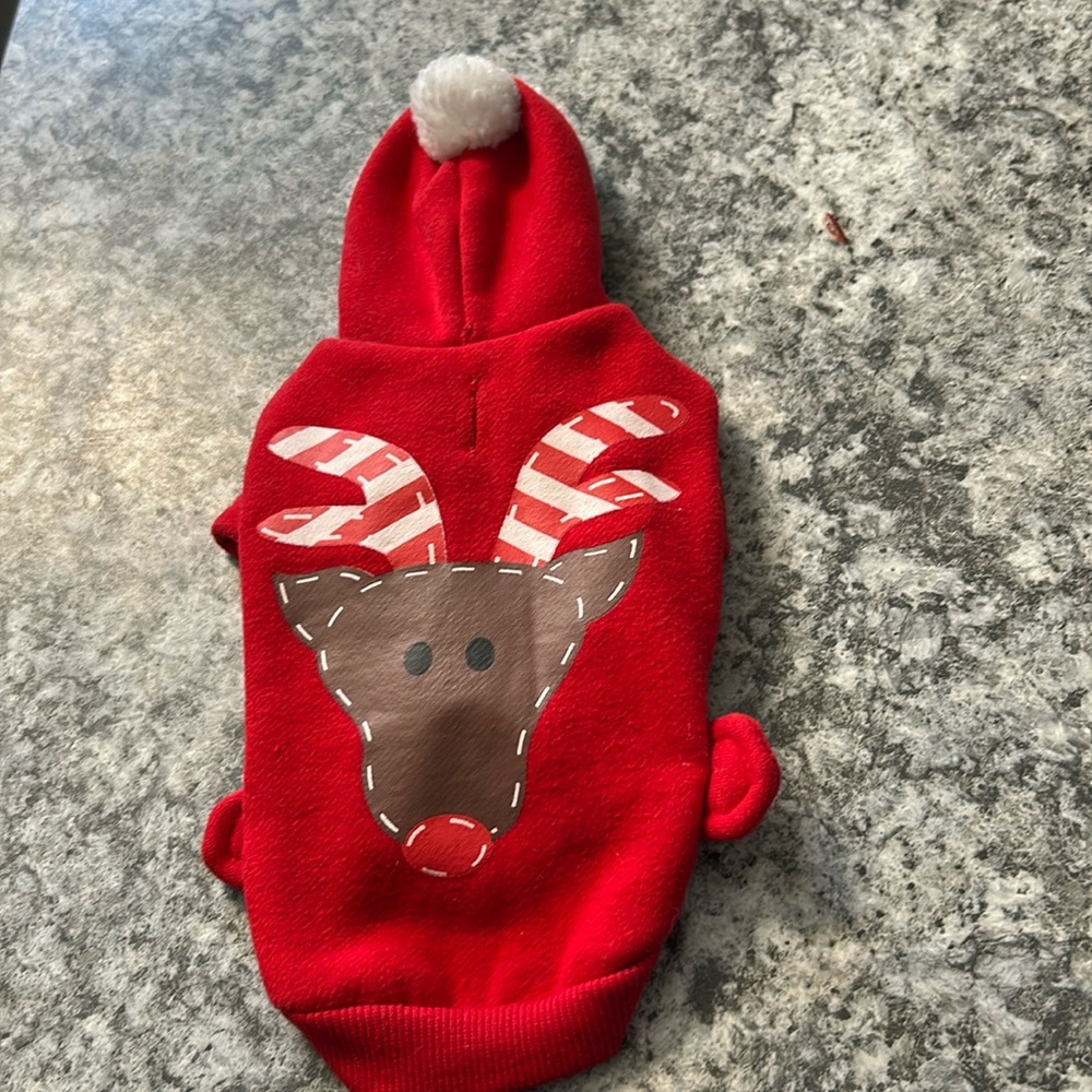 Cute Christmas gift for your favourite pet